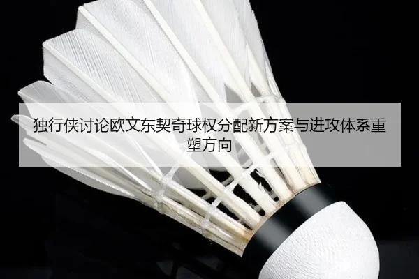 独行侠讨论欧文东契奇球权分配新方案与进攻体系重塑方向