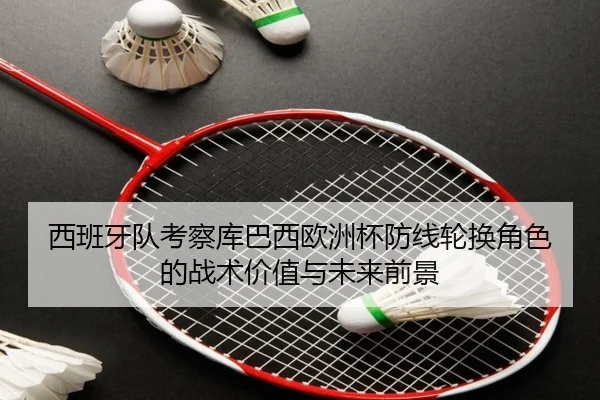 西班牙队考察库巴西欧洲杯防线轮换角色的战术价值与未来前景