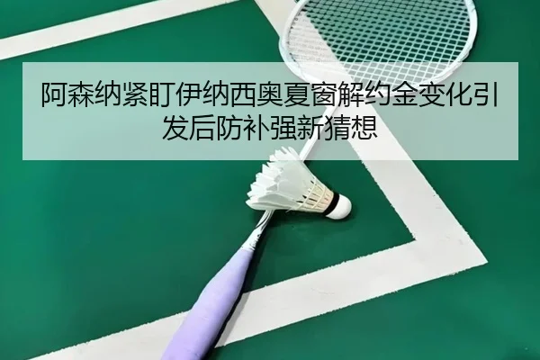 阿森纳紧盯伊纳西奥夏窗解约金变化引发后防补强新猜想